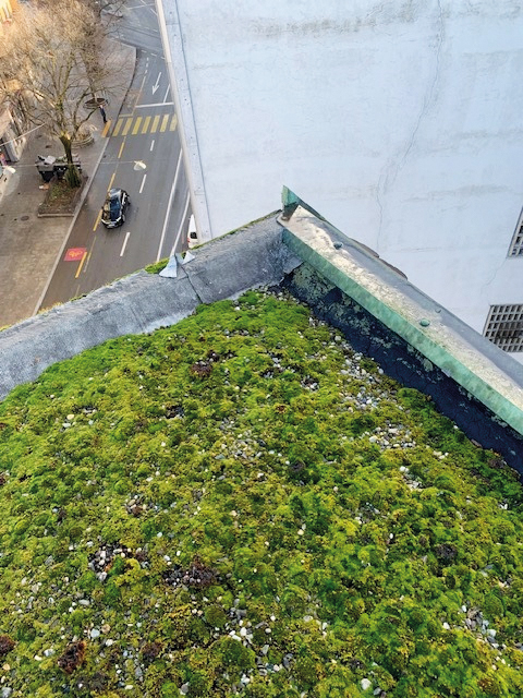 Pictet de Rochemont-1