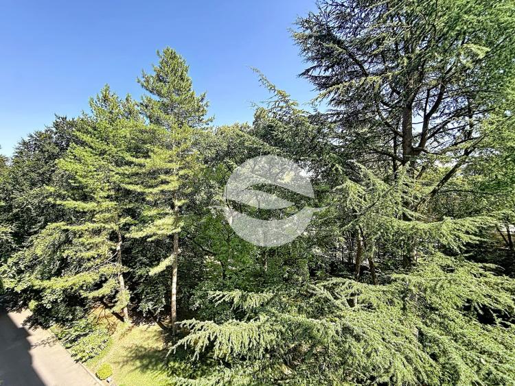 Cologny Parc - Très joli 2 pièces avec balcon et vue sur le Parc