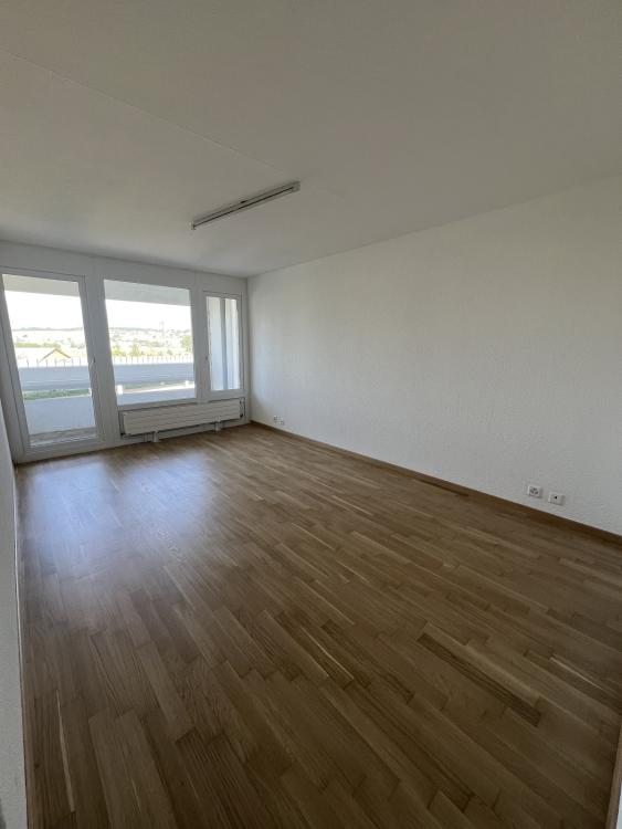 Logement de 3 pièces rénové, proche des transports publics et commerces. Avec ascenseur, accès sécurisé et buanderie.